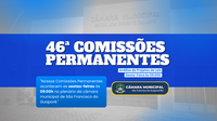 46ª Comissão Permanente da Casa Legislativa